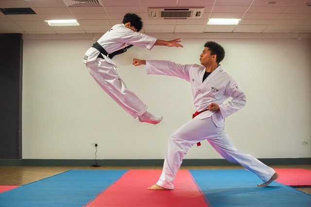 Pegasus Taekwondo training