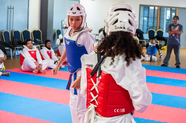 Pegasus Taekwondo dojang